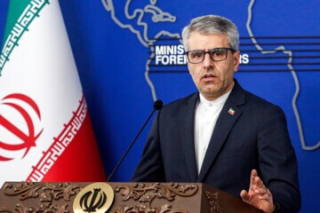 بقائی: چراغی از سمت آمریکا مشاهده نکرده‌ایم