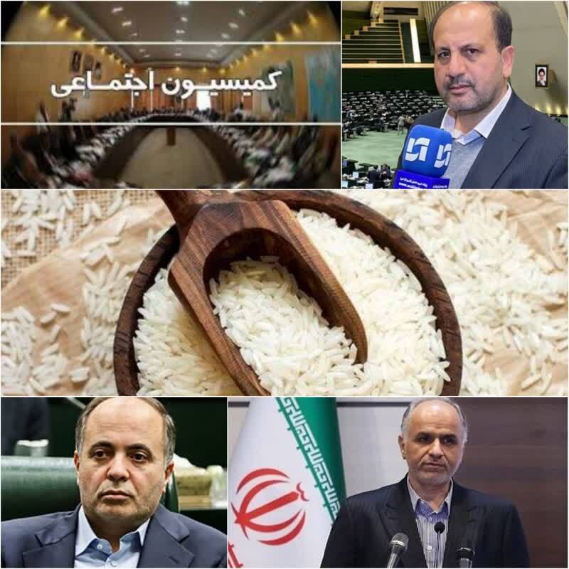 پای دلالان روی گلوی کشاورزان/ ورود کمیسیون کشاورزی آب منابع طبیعی مجلس موضوع احتکار کنندگان برنج در کشور