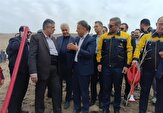 غرس ۶۰۰۰ اصله نهال در شهر جدید امیرکبیر