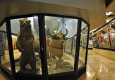 راه‌اندازی موزه طبیعی روباز در مشگین‌شهر