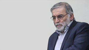 پاسخ قطعی پسر شهید فخری زاده به تخریب ها علیه عباس عراقچی