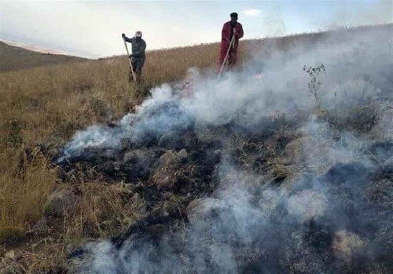 آتش‌سوزی در بیش از ۳۰۰ هکتار مراتع شهرستان جم مهار شد