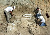 برگزاری همایش باستان‌شناسی میراث هزاران ساله در بستک