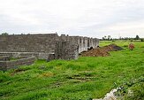 شناسایی ۳۳۳ تغییرکاربری غیرمجاز در اراضی کشاورزی خوزستان