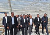 استاندار قزوین از تلاش برای ایجاد منطقه آزاد تاکستان خبر داد