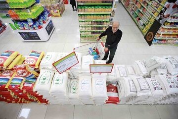خبر مهم وزیر کار برای یارانه‌بگیران/ میدری: با حذف یارانه این افراد، طرح کالابرگ ادامه پیدا می‌کند