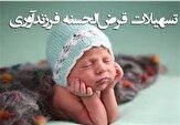 تحقق ۱۱۶.۵ درصدی پرداخت تسهیلات فرزندآوری در خراسان جنوبی