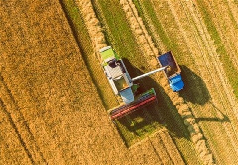 آخرین وضعیت محصولات استراتژیک در خراسان شمالی/ 97 هزار هکتار گندم دیم کاشت می‌شود
