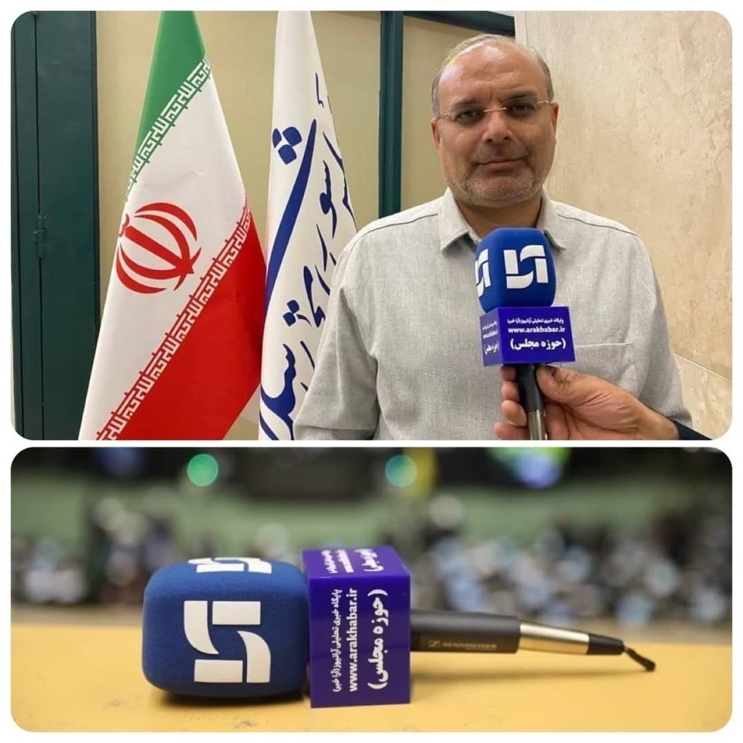 اختلاف نظرها به معنای عدم تعامل مجلس و دولت با هم نیست اختلاف نظرها به معنای عدم تعامل مجلس و دولت با هم نیست
