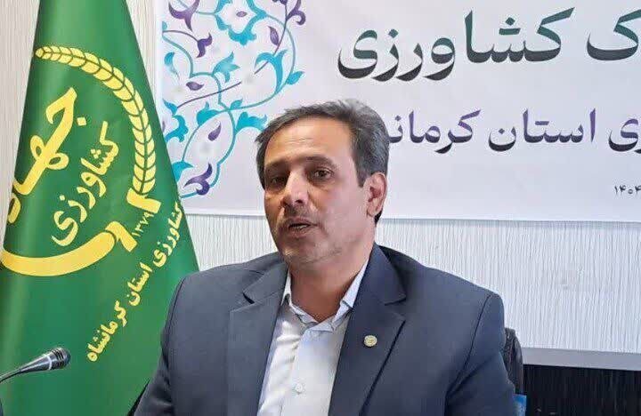 ظرفیت تولید مرغ استان در هر دوره ۳ میلیون و ۱۵۰ هزار قطعه است