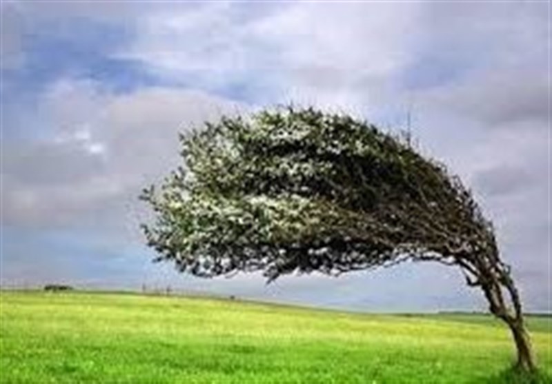 وزش تندباد و رعد و برق پراکنده در راه یزد