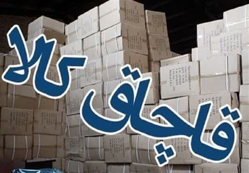 مقابله با قاچاق کالا و ارز در ایلام آغاز شد