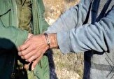 دستگیری شکارچی متخلف کبک در زیستگاه‌های شیرکوه تفت