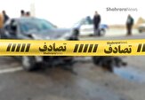 بی‌احتیاطی راننده منجر به فوت یک پاکبان در پیاده‌رو شد