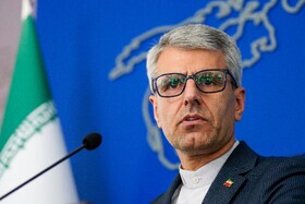 بقائی: ۴ کشور غربی مسئول تبعات صدور قطعنامه در شورای حکام آژانس هستند