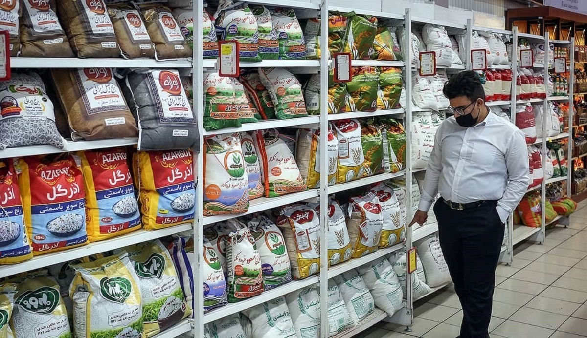 بوی برنج ۱۴۰۴ پای دلال را به بازار مصرف باز کرد/ دو دلیل گرانی برنج