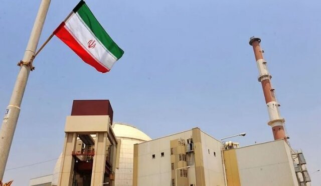 سازمان انرژی اتمی در نامه به گروسی: همدستی شما با جنایات بیشرمانه را از طریق مراجع بینالمللی پیگیری خواهیم کرد سازمان انرژی اتمی در نامه به گروسی: همدستی شما با جنایات بیشرمانه را از طریق مراجع بینالمللی پیگیری خواهیم کرد