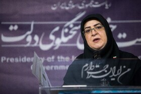 سخنگوی دولت: تندروی به معنای پیروی از ولایت نیست/آب به آسیاب دشمن نریزیم