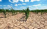 بحران آبی و فروپاشی سرزمینی، از نتایج آب مجانی برای کشاورزان است/ خودکفایی به روش ایران و آخرالزمانی شدن منابع آبی کشور