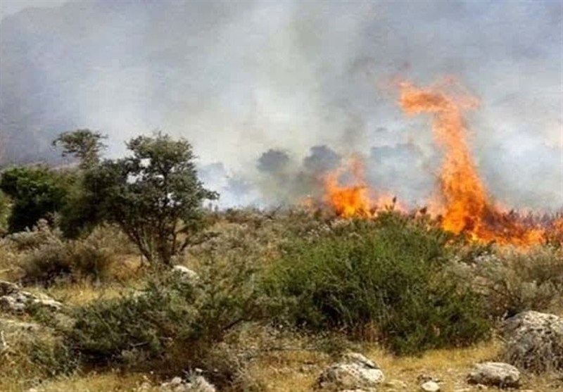 آتش‌سوزی در دل جنگل گلستان‌ با سهل‌انگاری گردشگران/ زنگ خطر ‌به صدا درآمد
