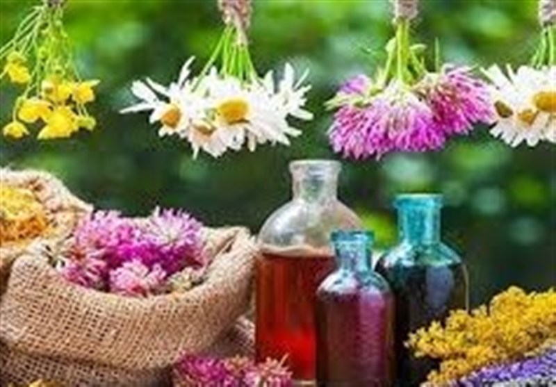 قم؛ قطب نوین کشت گیاهان دارویی در کشور