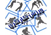 سرپرست هیئت ورزش کارگری یزد منصوب شد