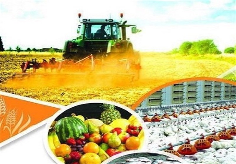 افتتاح و کلنگ‌زنی ۲۶۳ پروژه بخش کشاورزی در سیستان و بلوچستان