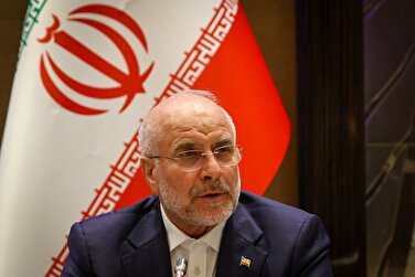 رئیس مجلس: ایرانیان دلخوری و گلایه‌مندی را برای عزت و حفظ یکپارچگی ایران کنار گذاشتند/ ایرانیان خارج از کشور باید در مجلس نماینده داشته باشند/ هرخدماتی به هموطنان داخل کشور ارائه می‌شود باید به ایرانیان خارج از کشور نیز ارائه شود