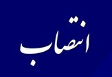 سرپرست فرمانداری اهواز منصوب شد