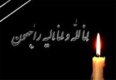 حجت‌الاسلام فضلیان استاد حوزه علمیه در همدان درگذشت