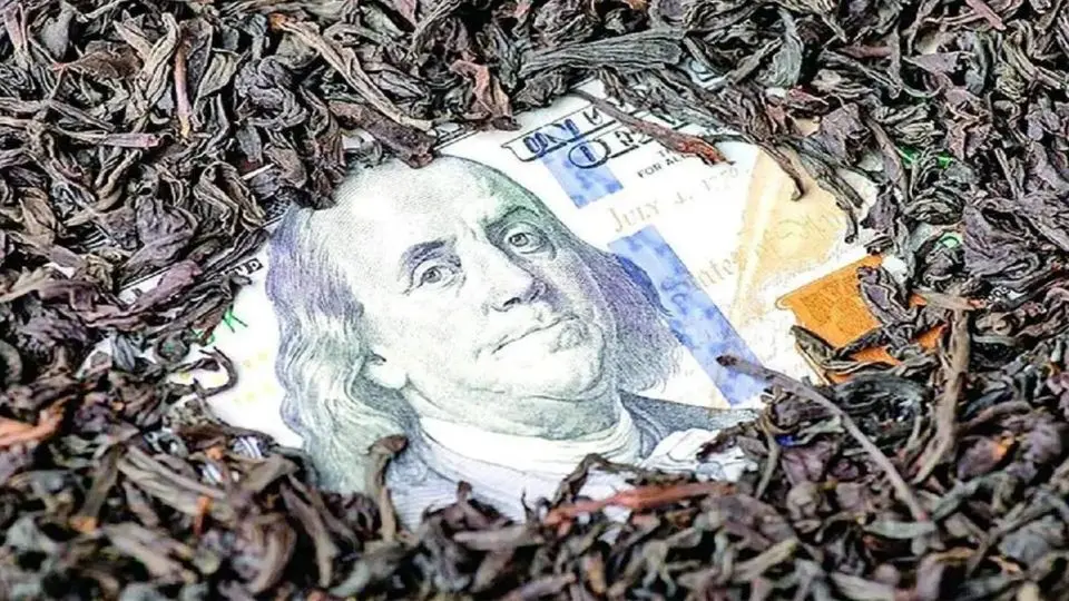 بازگشت ۴ همت دیگر از بیتالمال در پرونده چای دبش بازگشت ۴ همت دیگر از بیتالمال در پرونده چای دبش