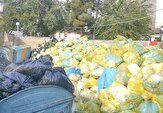 همکاری رسانه‌ها و مشارکت شهروندان کلید حل بحران پسماند