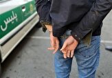 دادستان شهریار: کاهش ۲۰ درصدی سرقت‌های خرد با اجرای طرح جمع‌آوری معتادان متجاهر
