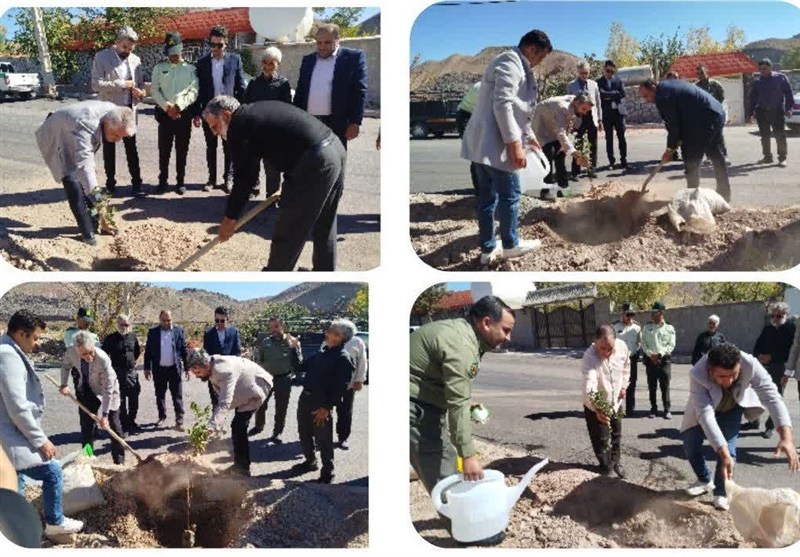 پویش کاشت نهال در روستای
