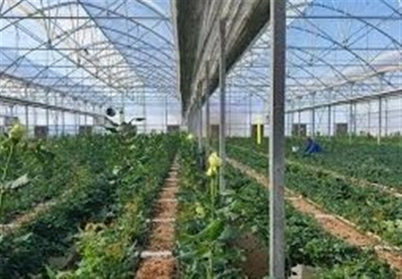سرمایه‌گذاری 22 میلیون دلاری در گلستان با حمایت قضایی