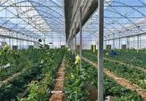 سرمایه‌گذاری 22 میلیون دلاری در گلستان با حمایت قضایی