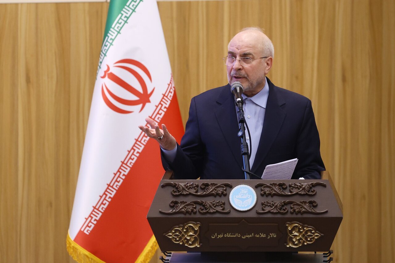 ضرورت مشارکت معنادار میان نهاد دولتی و نهاد مردمی/ همکاری‌ها باید از جنس همکاری نهادی باشد