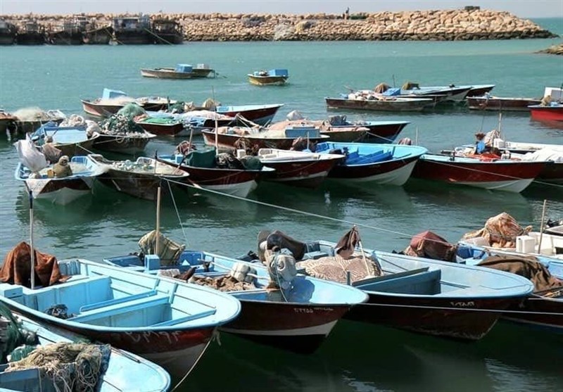 تعیین مهلت نهایی ثبت قایق‌های فاقد هویت در شهرستان بوشهر
