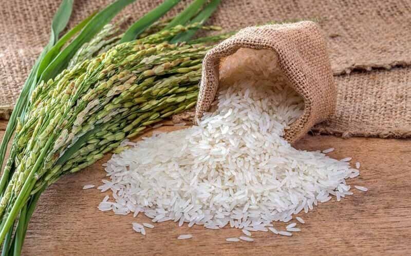 قیمت برنج ایرانی به کیلویی۳۲۰ هزار تومان رسید