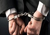 دستگیری 11 محکوم فراری در 