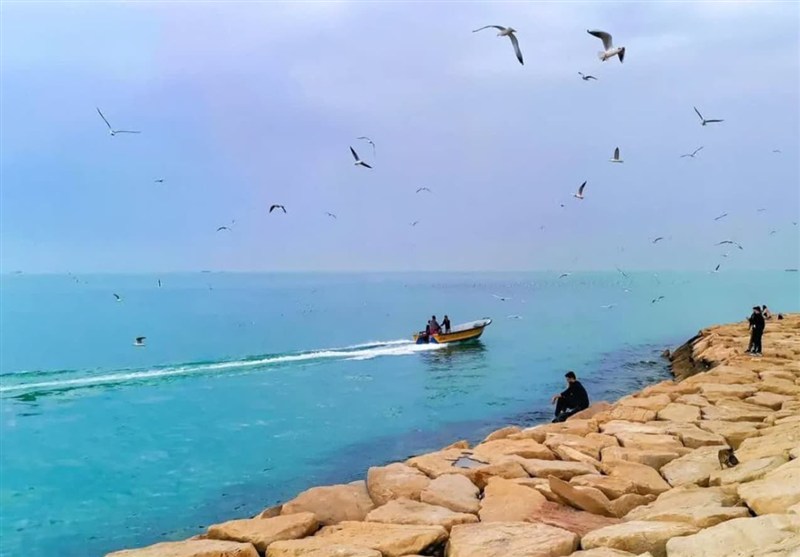 وضعیت جوی و دریایی نسبتا آرامی بر استان بوشهر حاکم است