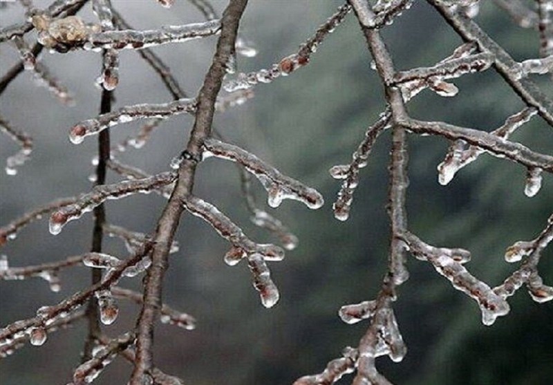 آسمان صاف اما زمین سرد، تداوم یخبندان شبانه در خراسان جنوبی