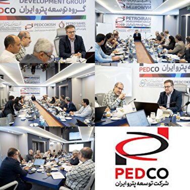 آغاز به کار کارگروه راهبری فعالیت های مقدماتی پروژه SSD در شرکت توسعه پترو ایران