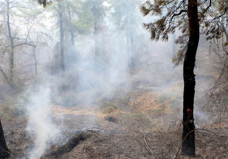 ورود دادستانی به آتش سوزی جنگلهای الیت/ تحقیقات برای علت آتشسوزی ادامه دارد ورود دادستانی به آتش سوزی جنگلهای الیت/ تحقیقات برای علت آتشسوزی ادامه دارد