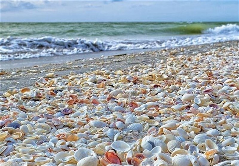 گفت‌وگو|آرامش نسبی جو و دریا در بوشهر تا پنجشنبه