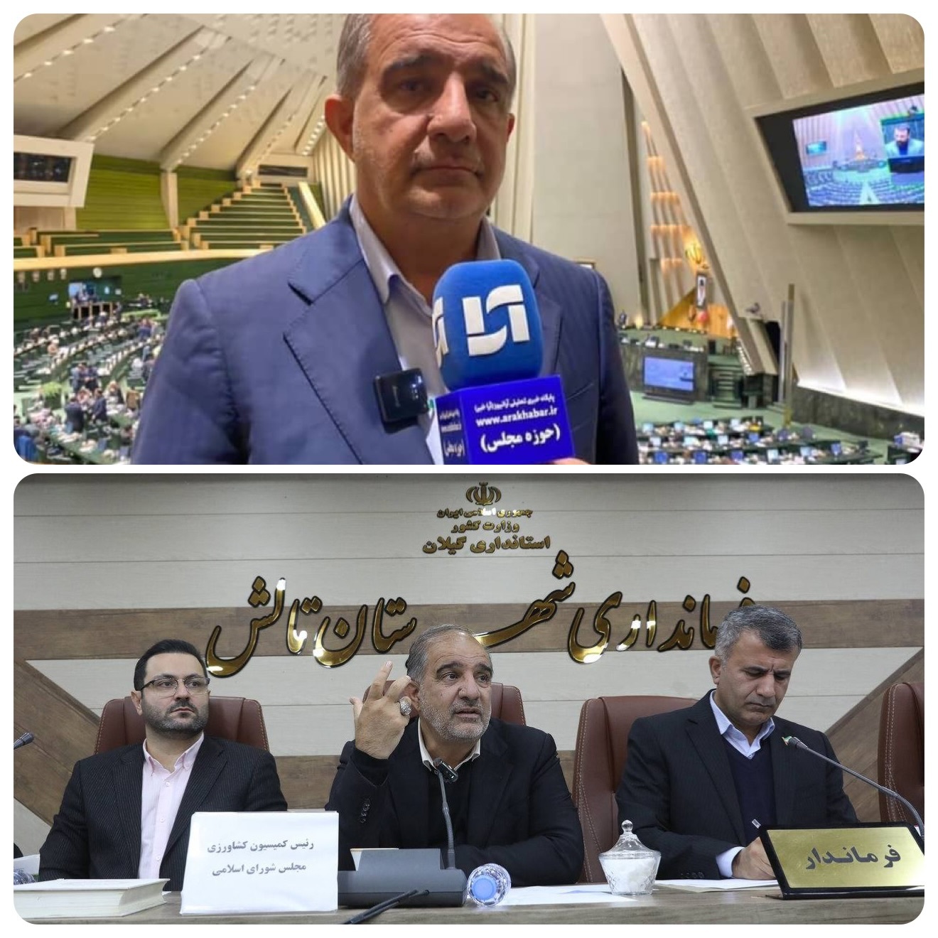 کیوی یکی از ظرفیتهای صادراتی کشور است کیوی یکی از ظرفیتهای صادراتی کشور است