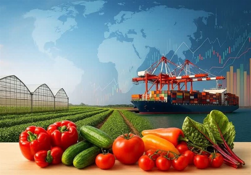 گفتوگو |صادرات محصولات گلخانهای استان مرکزی به 16 میلیون دلار رسید گفتوگو |صادرات محصولات گلخانهای استان مرکزی به 16 میلیون دلار رسید