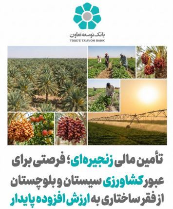 تأمین مالی زنجیره ای؛ فرصتی برای عبور کشاورزی سیستان و بلوچستان از فقر ساختاری به ارزش افزوده پایدار