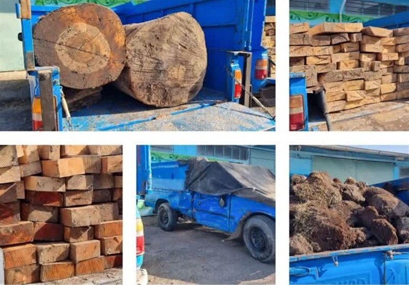 برخورد قاطع دادستانی آمل با قاچاقچیان چوب‌آلات جنگلی