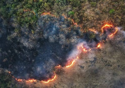 آتشسوزی گسترده در جنگلهای هیرکانی گلستان/ وزش باد مهار حریق را دشوار کرد آتشسوزی گسترده در جنگلهای هیرکانی گلستان/ وزش باد مهار حریق را دشوار کرد
